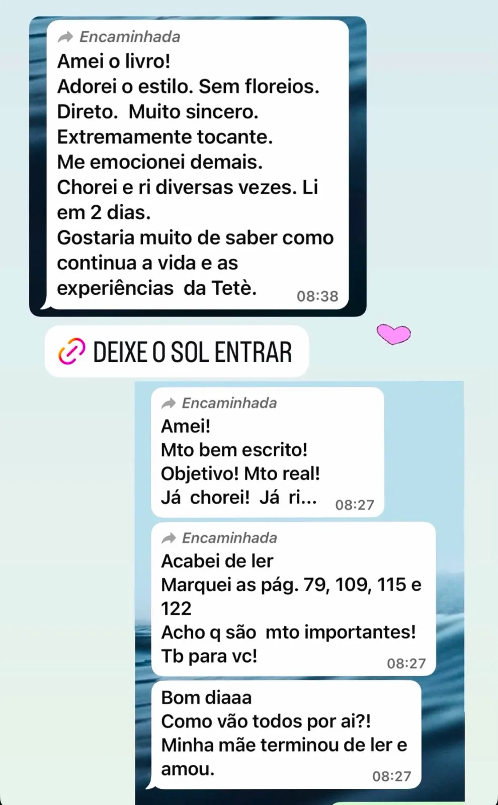 Mensagem de leitora no WhatsApp sobre o livro