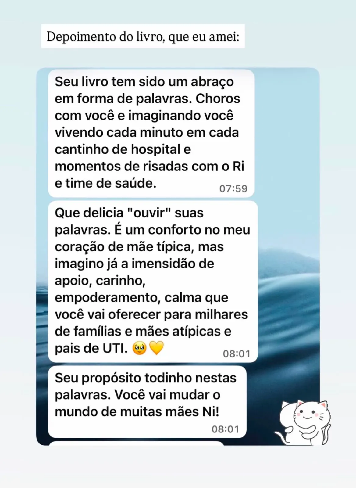 Mensagem de leitora no WhatsApp sobre o livro