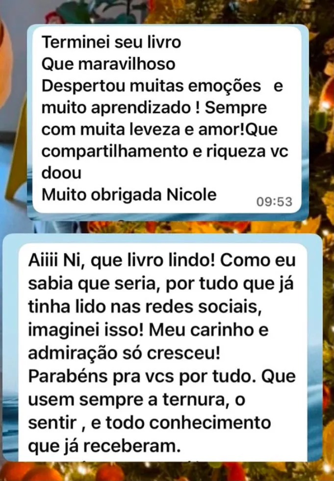 Mensagem de leitora no WhatsApp sobre o livro